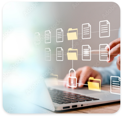 Quick & Easy Remote Source Data Veri cation (SDV)