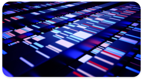 Sample Endpoints